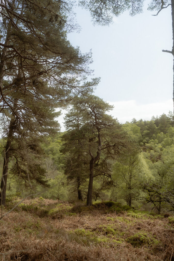 romantic scottish highlands elopement